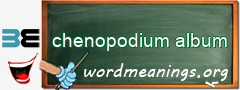 WordMeaning blackboard for chenopodium album